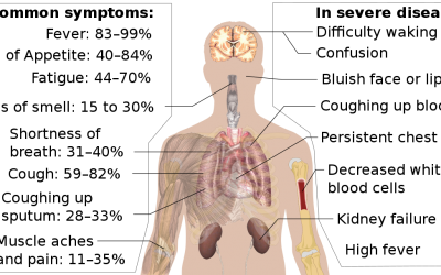 PANDEMIC – Center for Disease Control Updates